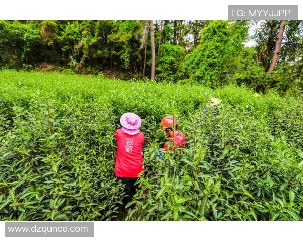 贝尔揭秘自己中文外号背后的故事与文化含义 贝尔揭秘自己中文外号背后的故事与文化含义