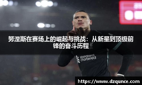 努涅斯在赛场上的崛起与挑战：从新星到顶级前锋的奋斗历程